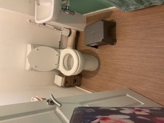 Wood-effect vinyl flooring fitted in a downstairs cloakroom